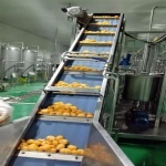 Orange Citrus Juice Processing Line