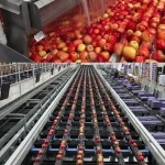 Apple Juice Complete Processing Line