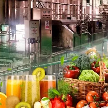 Fruit Juice Processing Line