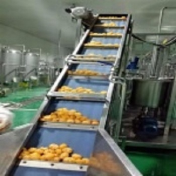 Mongo Juice/ Orange Juice Complete Producing Line